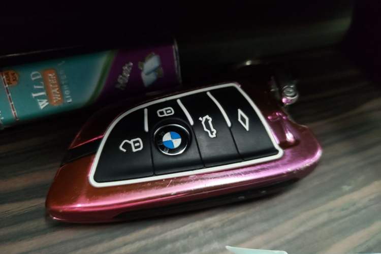 Used BMW 5 Series 2023 530Li xDrive Luxury Package Vehicle Key