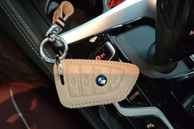 Used BMW 5 Series 2023 530Li Leading Model M Sport Package Vehicle Key