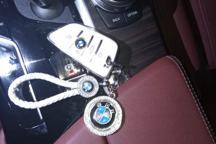 Used BMW 5 Series 2023 530Li Leading Edition Luxury Package Vehicle Key