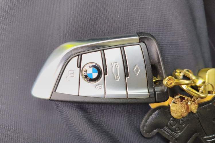 Used BMW 5 Series 2023 530Li Leading Edition Luxury Package Vehicle Key