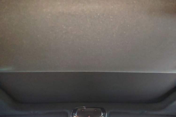 Used BMW 5 Series 2023 530Li Luxury Edition M Sport Package Headliner