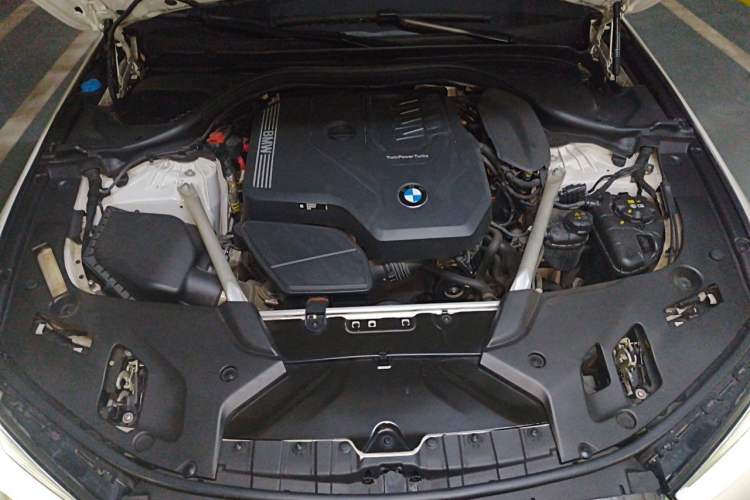 Used BMW 5 Series 2023 530Li Luxury Edition M Sport Package Engine Bay