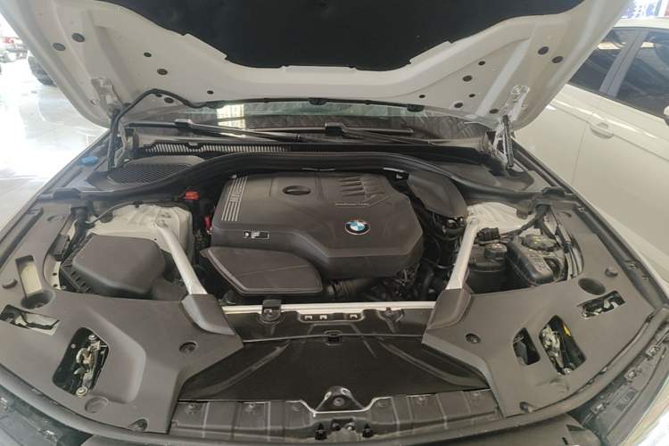 Used BMW 5 Series 2023 530Li xDrive M Sport Package Engine Bay