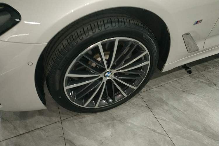 Used BMW 5 Series 2023 530Li Leading Model M Sport Package Exterior 1