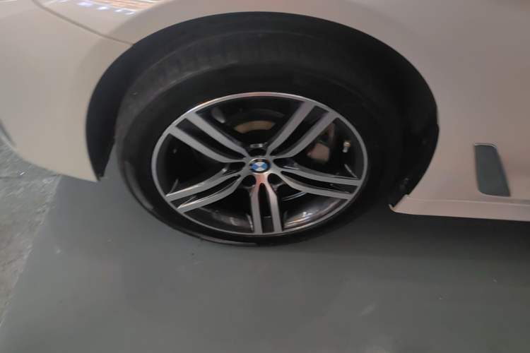 Used BMW 5 Series 2023 530Li Leading Edition Luxury Package Exterior 4