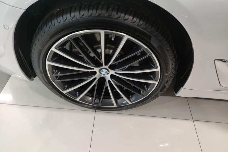 Used BMW 5 Series 2023 530Li Leading Model M Sport Package Exterior 4