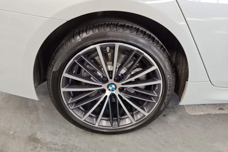Used BMW 5 Series 2023 530Li Leading Model M Sport Package Exterior 5