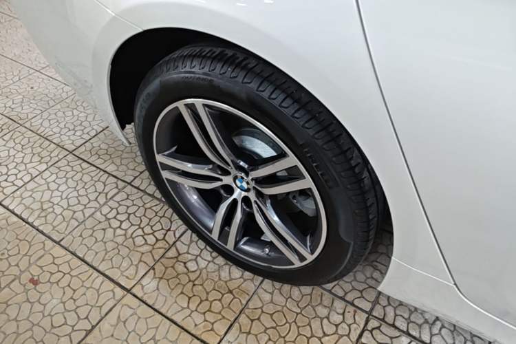 Used BMW 5 Series 2023 530Li Leading Edition Luxury Package Exterior 5