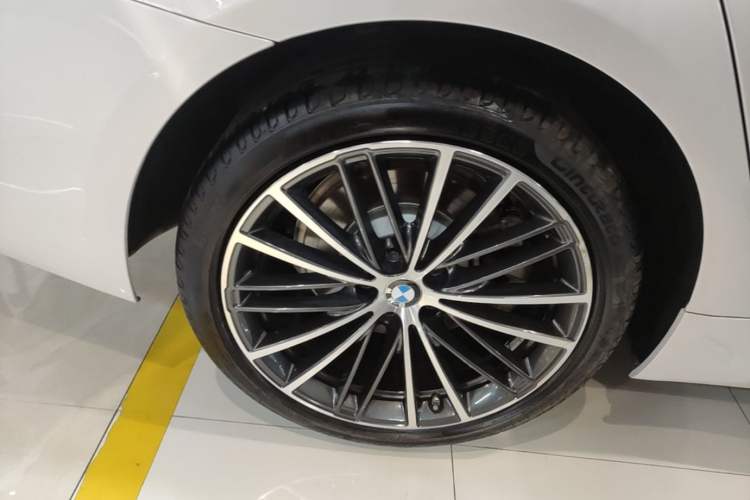 Used BMW 5 Series 2023 530Li Leading Model M Sport Package Exterior 5