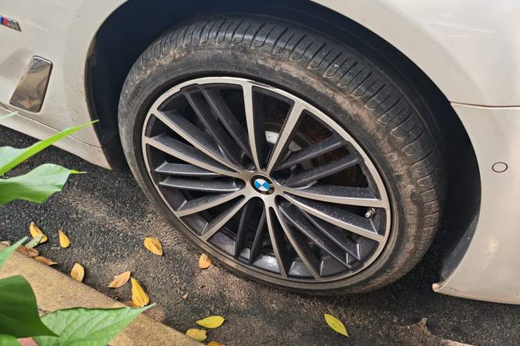 Used BMW 5 Series 2023 530Li Leading Model M Sport Package Exterior 7