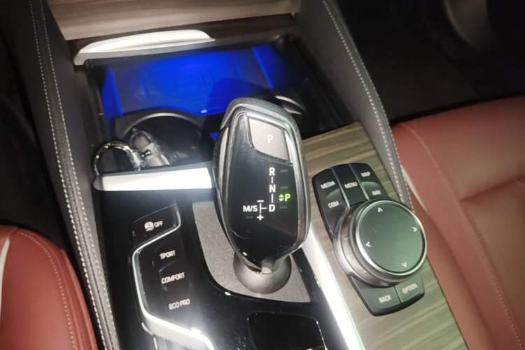 Used BMW 5 Series 2023 530Li Leading Edition Luxury Package Gear Lever