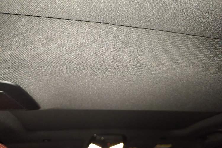 Used BMW 5 Series 2023 530Li Leading Model M Sport Package Headliner
