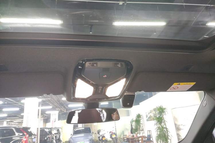 Used BMW 5 Series 2023 530Li Leading Model M Sport Package Headliner
