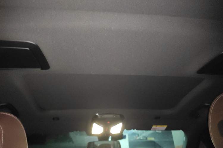 Used BMW 5 Series 2023 530Li Leading Model M Sport Package Headliner