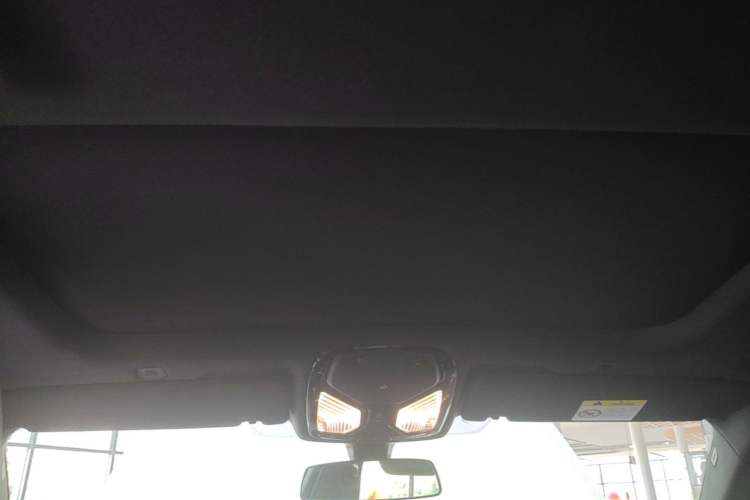 Used BMW 5 Series 2023 530Li Leading Model M Sport Package Headliner