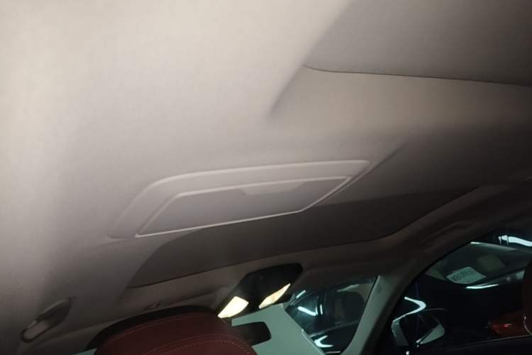 Used BMW 5 Series 2023 530Li Leading Edition Luxury Package Headliner
