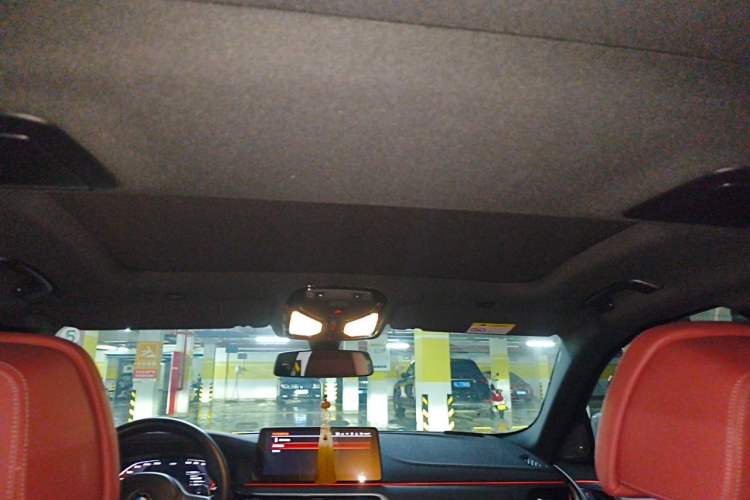 Used BMW 5 Series 2023 530Li Luxury Edition M Sport Package Headliner