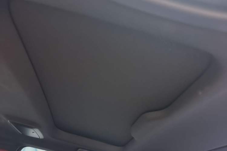 Used BMW 5 Series 2023 530Li Leading Model M Sport Package Headliner