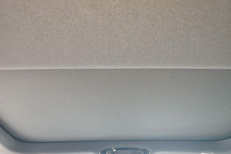 Used BMW 5 Series 2023 530Li Leading Model M Sport Package Headliner
