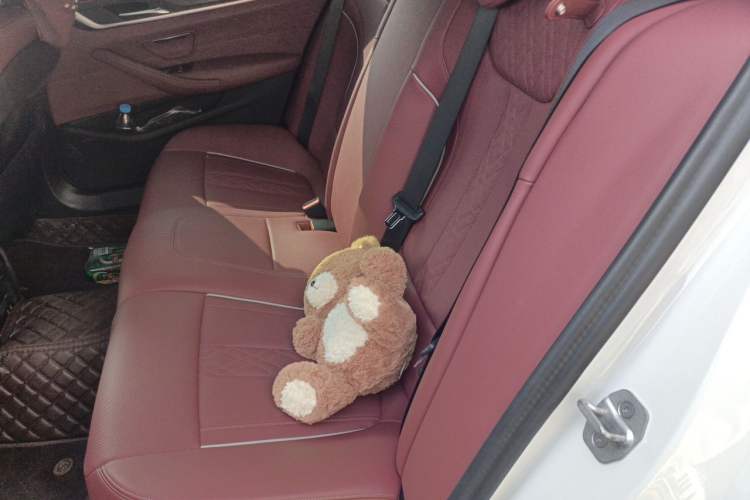 Used BMW 5 Series 2023 530Li Leading Model M Sport Package Left Rear Seat