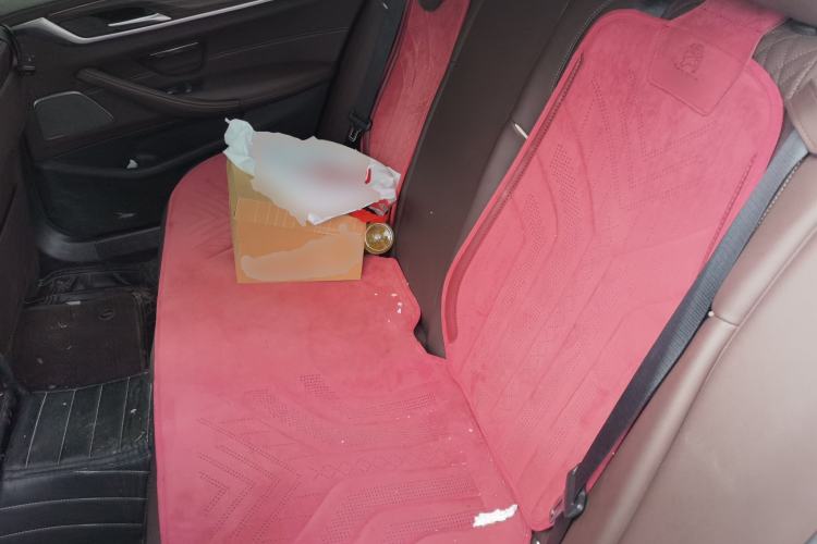 Used BMW 5 Series 2023 530Li Leading Edition Luxury Package Left Rear Seat