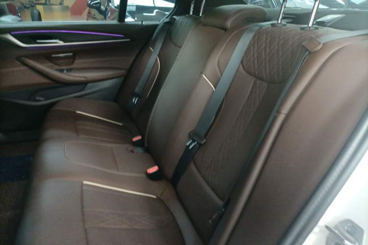 Used BMW 5 Series 2023 530Li Leading Model M Sport Package Left Rear Seat