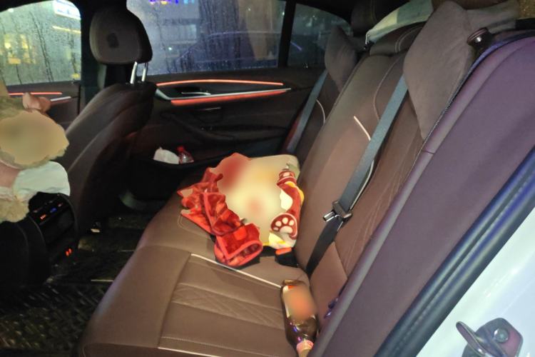 Used BMW 5 Series 2023 530Li Leading Model M Sport Package Left Rear Seat