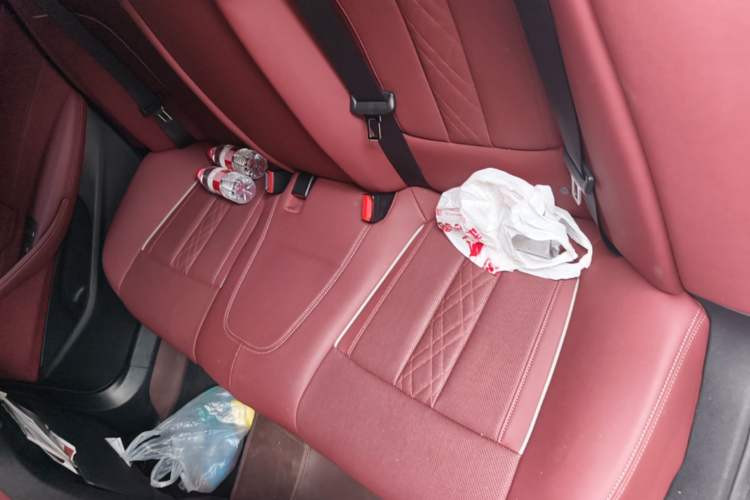 Used BMW 5 Series 2023 530Li Leading Model M Sport Package Left Rear Seat