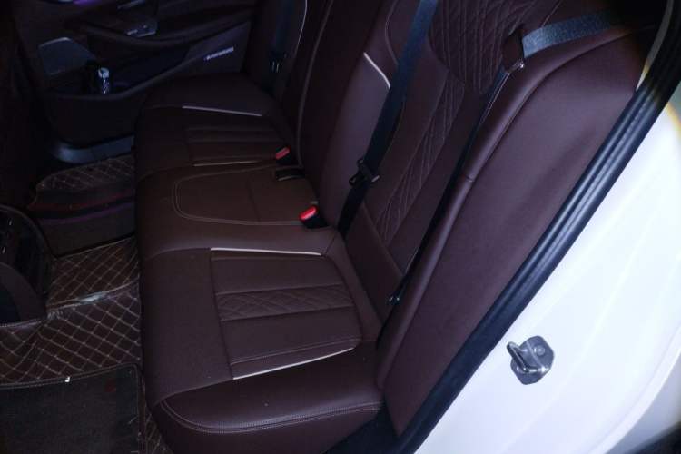 Used BMW 5 Series 2023 530Li Leading Edition Luxury Package Left Rear Seat
