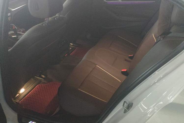 Used BMW 5 Series 2023 530Li Leading Model M Sport Package Left Rear Seat