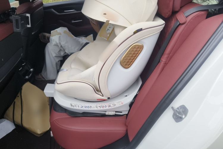 Used BMW 5 Series 2023 530Li Luxury Edition M Sport Package Left Rear Seat