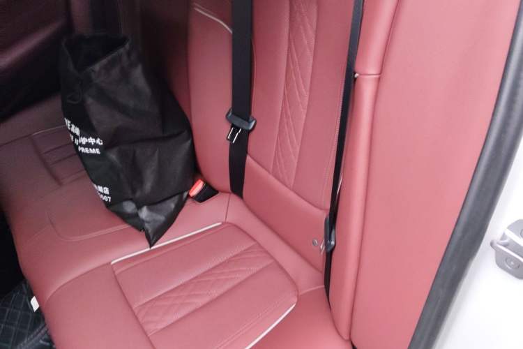 Used BMW 5 Series 2023 530Li Leading Model M Sport Package Left Rear Seat