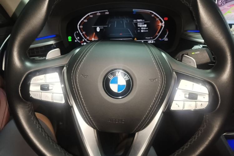 Used BMW 5 Series 2023 530Li Leading Edition Luxury Package Steering Wheel