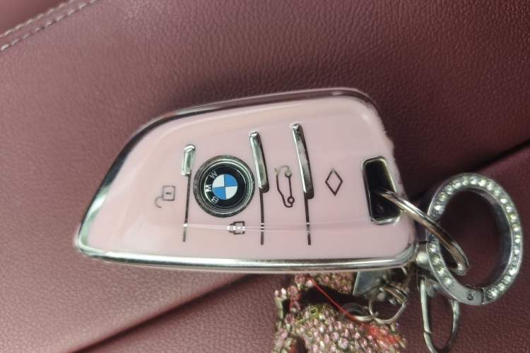 Used BMW 5 Series 2023 530Li Luxury Edition M Sport Package Vehicle Key