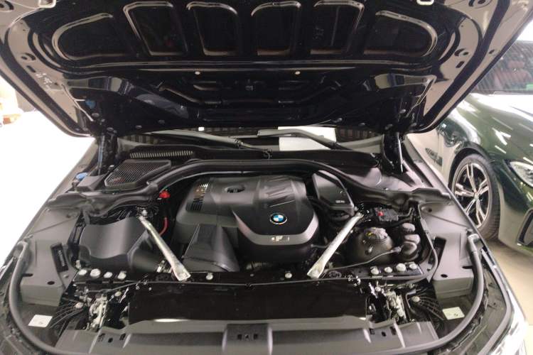 Used BMW 5 Series 2024 530Li Luxury Edition M Sport Package Engine Bay