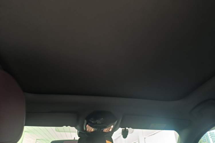 Used BMW 5 Series 2024 525Li M Sport Package Headliner