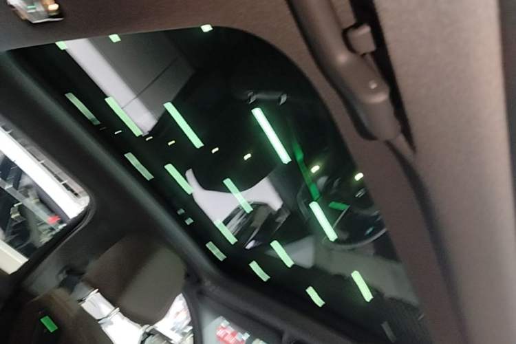 Used BMW 5 Series 2024 530Li Leading Model M Sport Package Headliner
