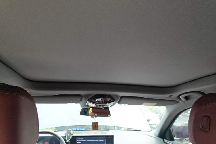 Used BMW 5 Series 2024 525Li M Sport Package Headliner