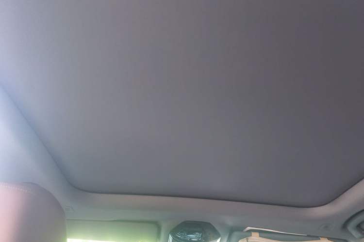Used BMW 5 Series 2024 530Li Leading Model M Sport Package Headliner