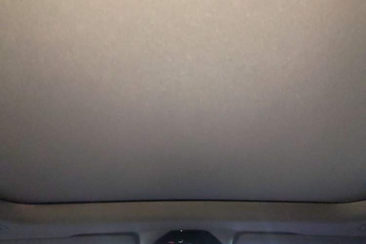 Used BMW 5 Series 2024 530Li Leading Model M Sport Package Headliner