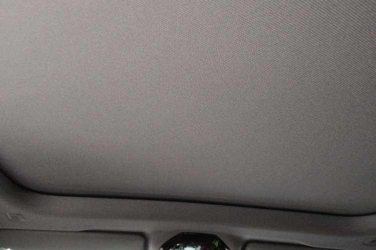 Used BMW 5 Series 2024 530Li Leading Luxury Package Headliner