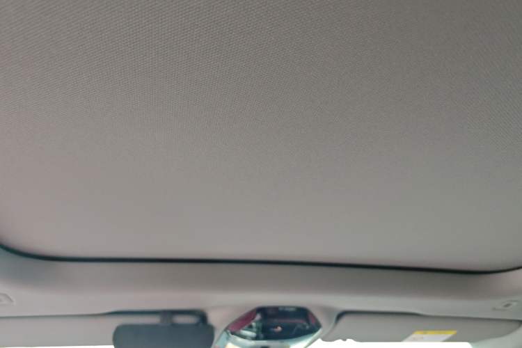 Used BMW 5 Series 2024 530Li Luxury Edition M Sport Package Headliner