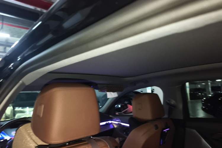 Used BMW 5 Series 2024 530Li Leading Model M Sport Package Headliner