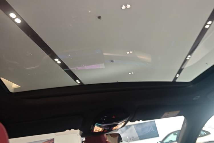 Used BMW 5 Series 2024 530Li Leading Luxury Package Headliner