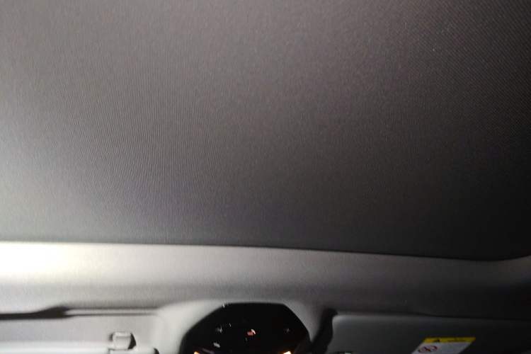 Used BMW 5 Series 2024 525Li Luxury Package Headliner