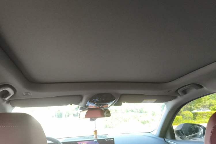 Used BMW 5 Series 2024 530Li Leading Model M Sport Package Headliner