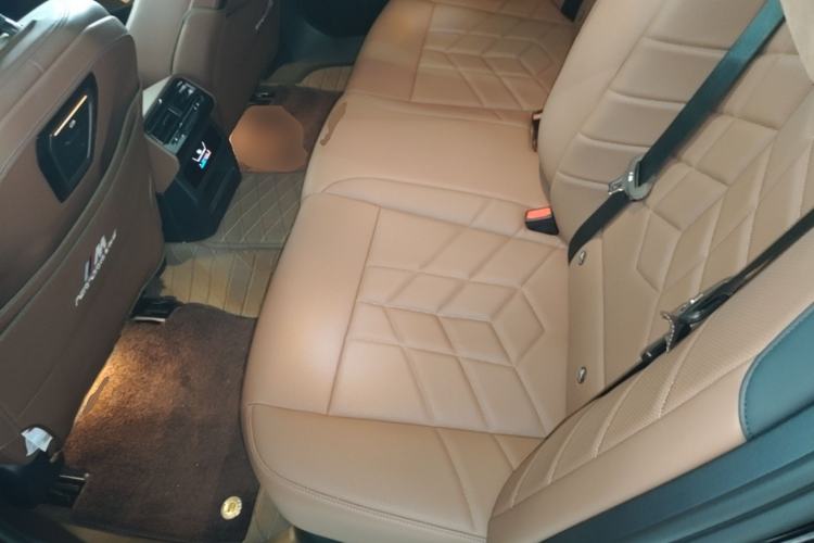 Used BMW 5 Series 2024 530Li Leading Luxury Package Left Rear Seat
