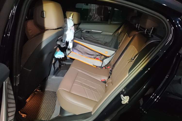Used BMW 5 Series 2024 530i Luxury Edition M Sport Package Left Rear Seat
