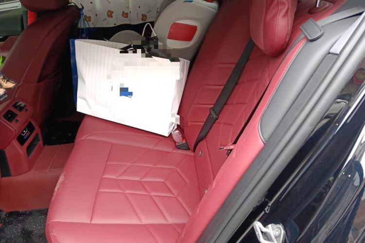 Used BMW 5 Series 2024 530Li Leading Luxury Package Left Rear Seat