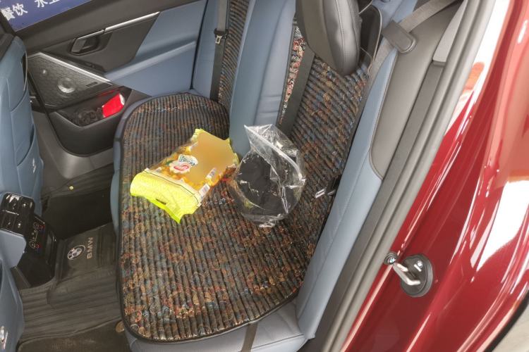 Used BMW 5 Series 2024 530Li Luxury Package Premium Edition Left Rear Seat